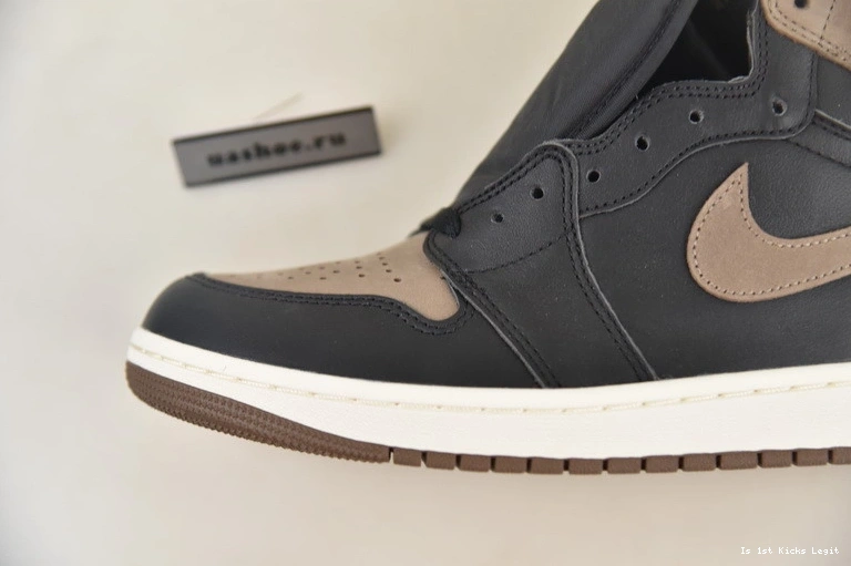 DZ5485-020 OG 1 High Jordan Air 